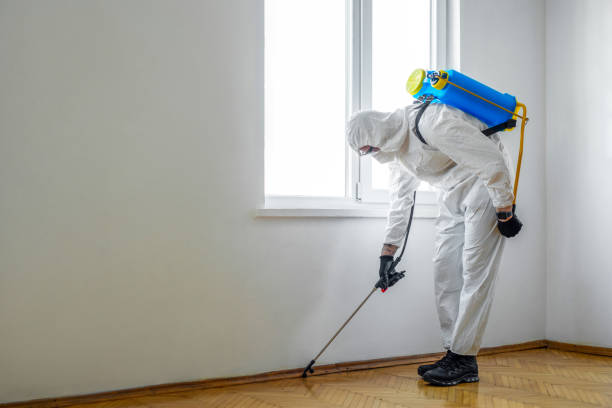 Best Emergency Pest Control  in East Meadow, NY