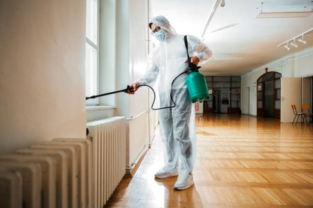 Best Best Pest Control Companies  in East Meadow, NY